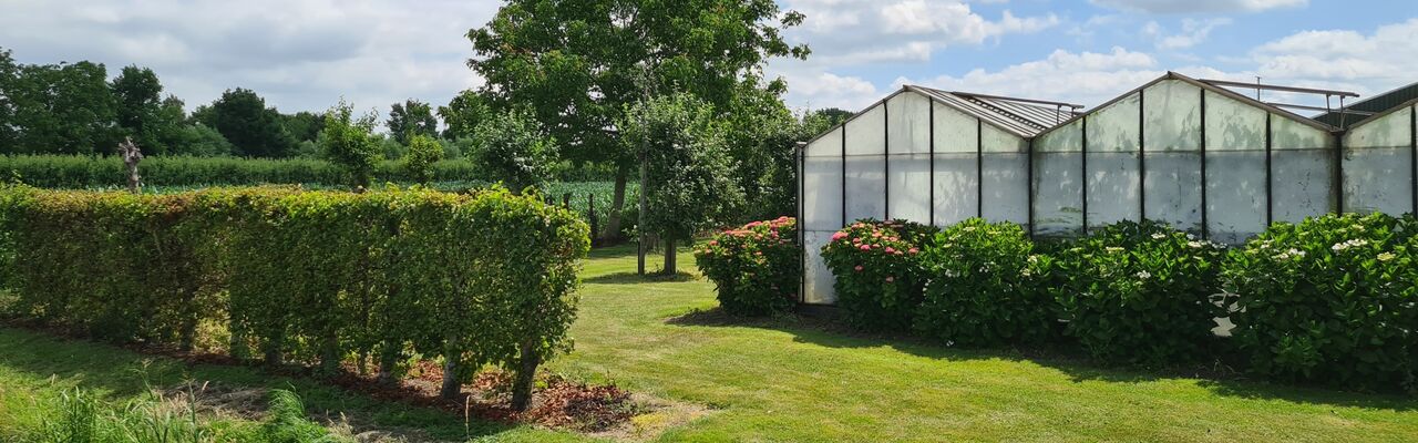 Gelaagdheid groene inpassing