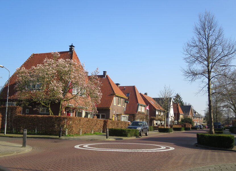 IMG 3762