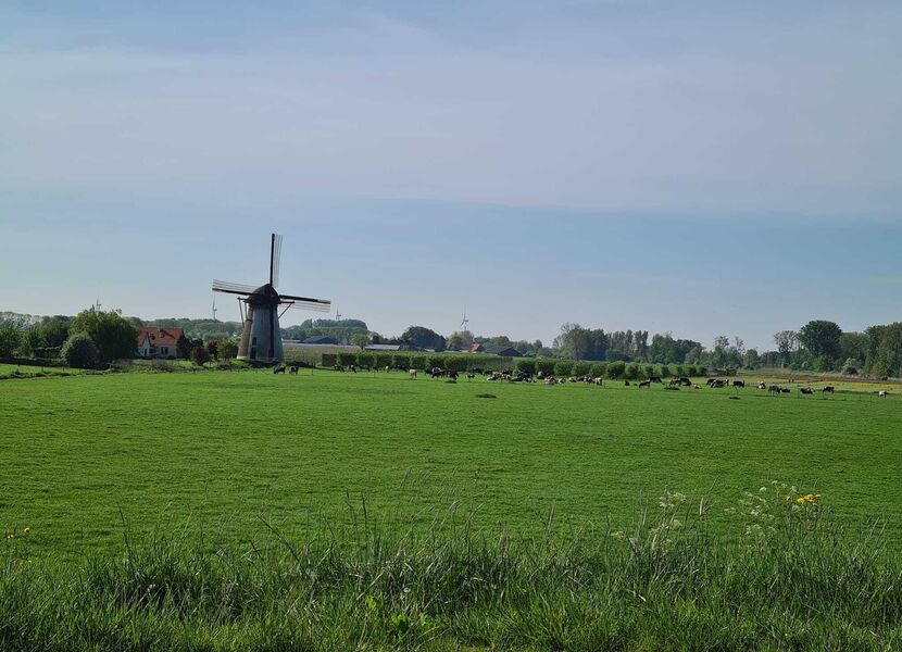 Foto beeldspraak5