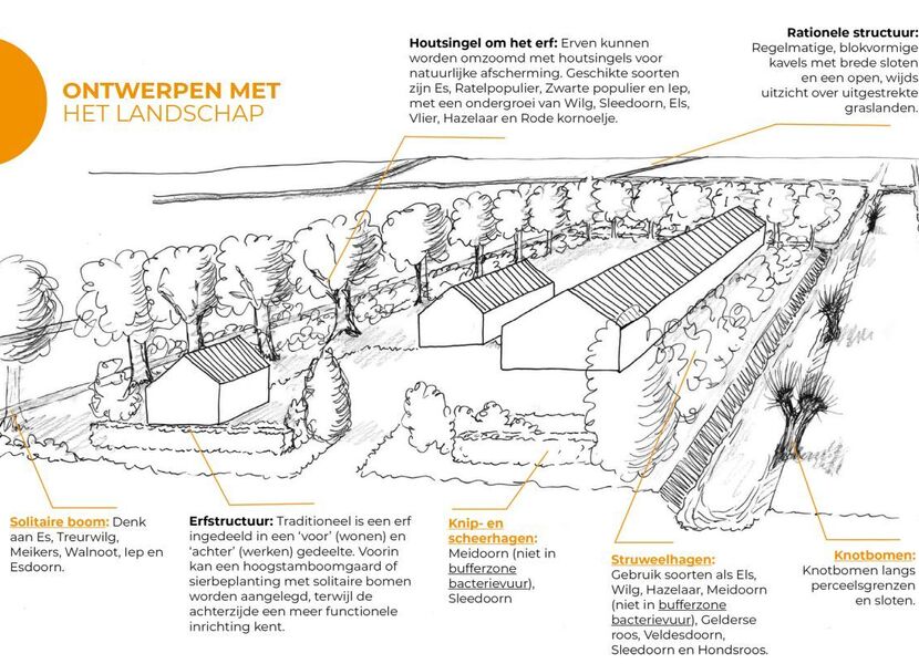 Voorbeeld folder
