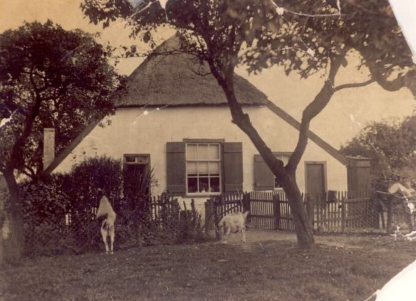 Koldeweij 1