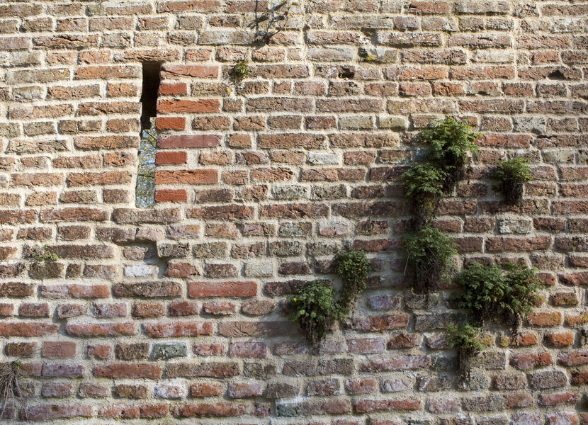 Detail