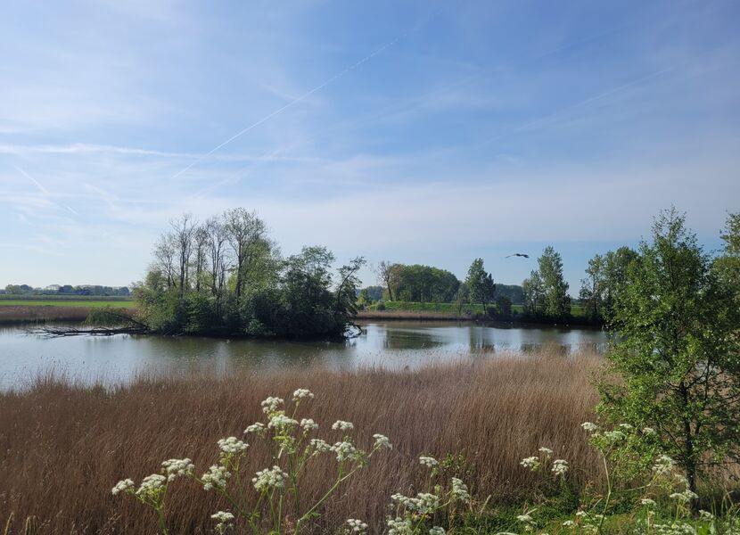 Foto beeldspraak1